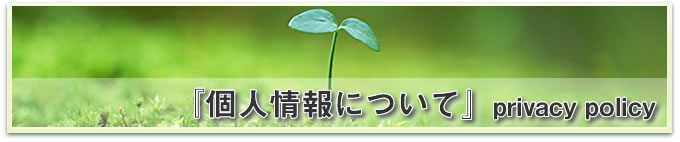 個人情報について